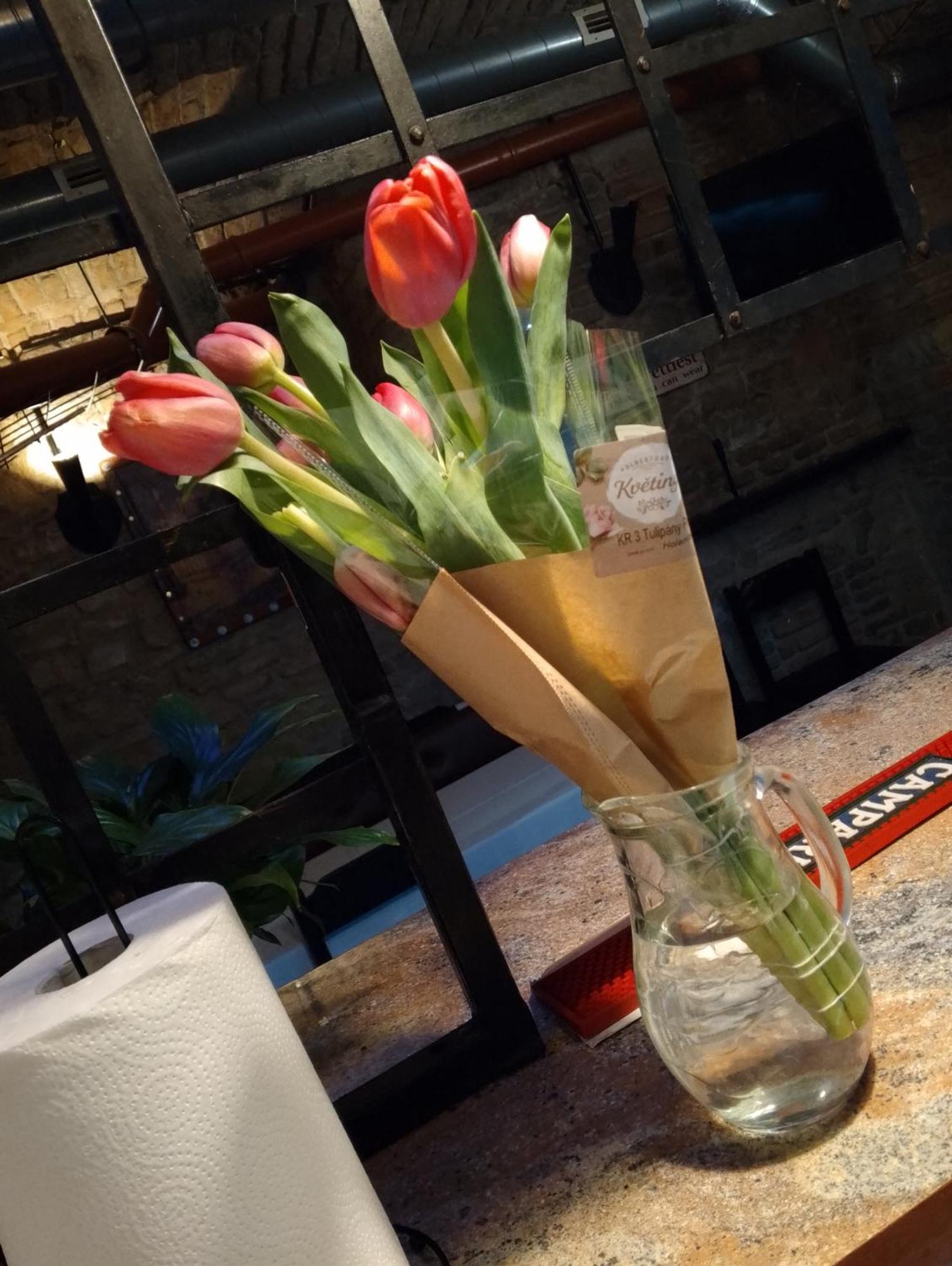 Alba Hostel Prag Dış mekan fotoğraf